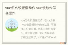 vue怎么设置慢动作 vue慢动作怎么操作