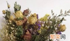 干花发霉了怎么办 晒的干花发霉了怎么办