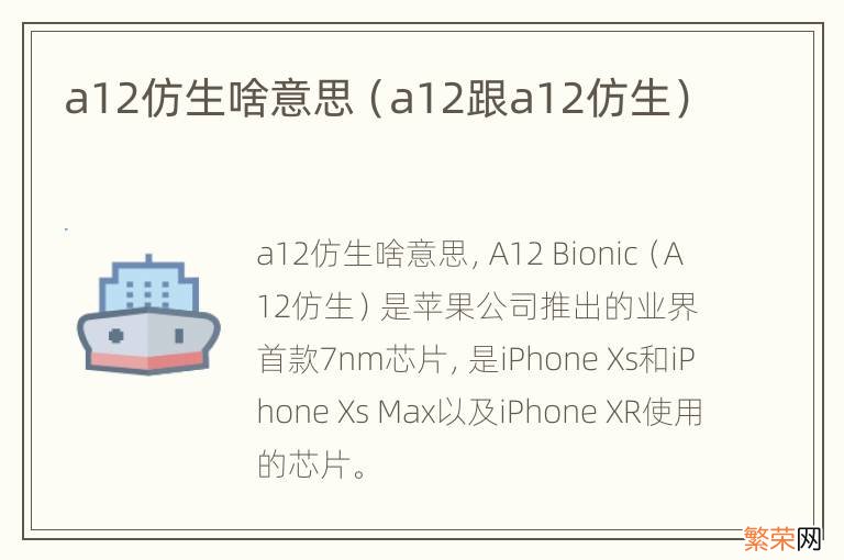 a12跟a12仿生 a12仿生啥意思