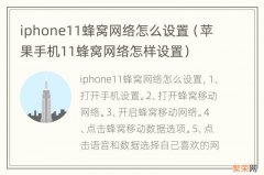 苹果手机11蜂窝网络怎样设置 iphone11蜂窝网络怎么设置