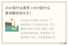 shirt是什么意思翻译成中文 shirt是什么意思