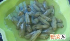 蛏子怎么清洗内脏 蛏子怎么清洗内脏 豆果