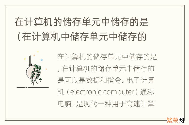 在计算机中储存单元中储存的 在计算机的储存单元中储存的是