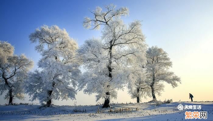 什么是暴风雪 暴风雪是怎么形成的