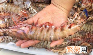 竹节虾怎么保存 虾怎么保存更鲜美?