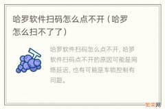 哈罗怎么扫不了了 哈罗软件扫码怎么点不开