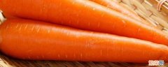 萝卜与胡萝卜有什么区别 胡萝卜是萝卜类的吗