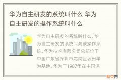 华为自主研发的系统叫什么 华为自主研发的操作系统叫什么