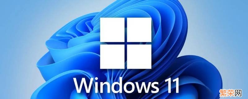 win11连不上网 Win11连不上网络