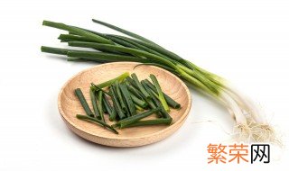 小葱种子催芽方法 圆葱种子催芽方法