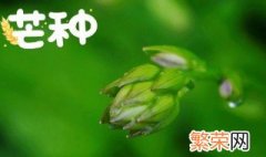 2022壬寅虎年五月初八芒种日子好不好