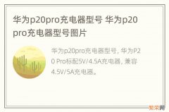 华为p20pro充电器型号 华为p20pro充电器型号图片