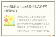 wadl是什么文件?可以删除吗 wadl是什么