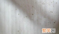 白衣服有霉点怎么洗掉 怎样洗掉白衣服上的霉点