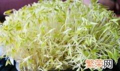 绿豆芽催芽技巧和方法 绿豆芽催芽技巧