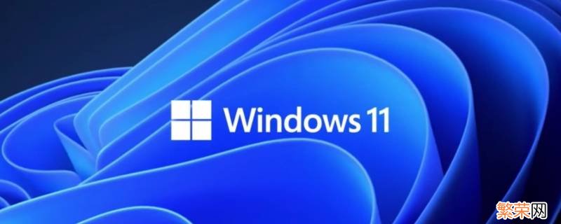 windows11菜单栏打不开 windows11开始菜单打不开