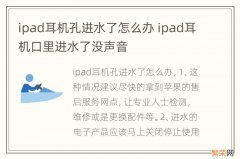 ipad耳机孔进水了怎么办 ipad耳机口里进水了没声音