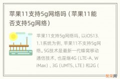 苹果11能否支持5g网络 苹果11支持5g网络吗