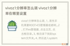 vivoz1分辨率怎么调 vivoz1分辨率在哪里设置