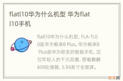 flatl10华为什么机型 华为flatl10手机