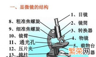 使用显微镜的步骤 使用显微镜的步骤是什么