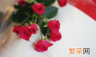 怎吗从玫瑰鲜花中提取玫瑰纯露 怎么提取鲜花纯露