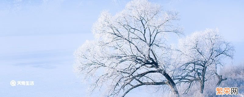 下雪的唯美短句 雪的句子短句唯美