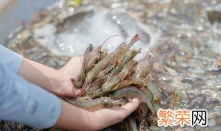 怎么剥生虾 虾怎么剥壳