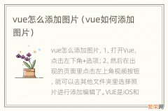 vue如何添加图片 vue怎么添加图片