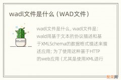 WAD文件 wadl文件是什么