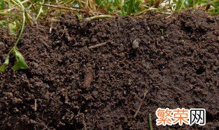 泥土保湿方法 泥土保湿方法是什么
