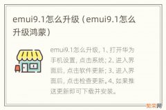 emui9.1怎么升级鸿蒙 emui9.1怎么升级