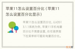 苹果11怎么设置百分比显示 苹果11怎么设置百分比