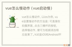 vue启动慢 vue怎么慢动作