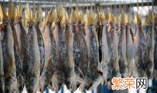 晒干的鱼怎么保存最好 晒干的鱼保存方法介绍