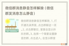 微信群发消息怎么静音 微信群消息静音怎样解除