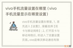 vivo手机流量显示在哪里设置 vivo手机流量设置在哪里