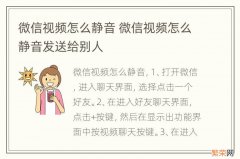 微信视频怎么静音 微信视频怎么静音发送给别人