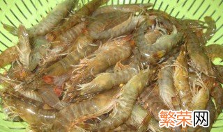 基围虾活的怎么保存 活基围虾的保存方法介绍