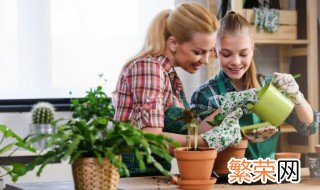 什么植物适合室内水养而且好活 哪些小型水生植物好养要在室内养