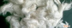 羊毛的主要成分 羊毛的主要成分是纤维素还是蛋白质