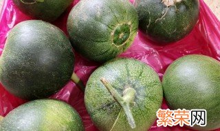 露地甜瓜夏季最晚什么时候种植 甜瓜秋季种植时间