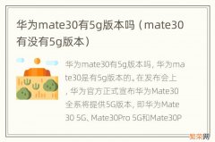 mate30有没有5g版本 华为mate30有5g版本吗