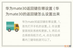 华为mate30的返回键怎么设置出来 华为mate30返回键在哪设置