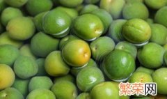 立夏三鲜是什么 何谓立夏三鲜