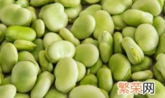 蚕豆的种植环境 蚕豆适合在树荫下种植吗