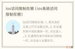 ios系统访问限制在哪 ios访问限制在哪