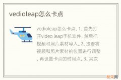 vedioleap怎么卡点