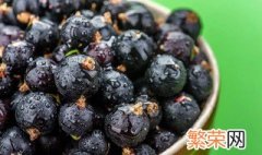 黑加仑是什么水果 黑加仑水果是什么