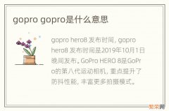 gopro gopro是什么意思